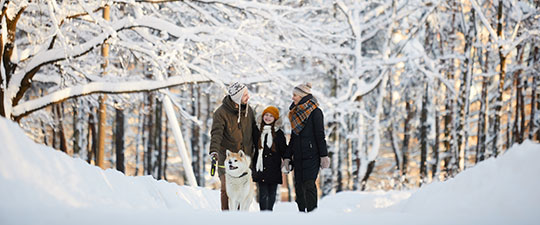Family walking in snowy woods with snow-covered trees behind them