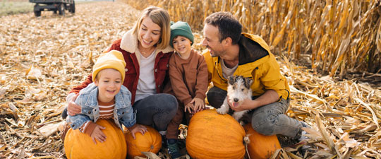 young family picking pumpkins together outside